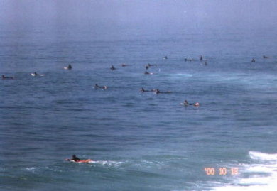 Huntington Beach